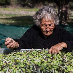 efkrato olive oil bran