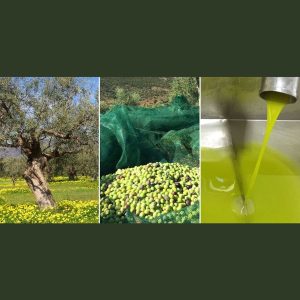 oilove olive oil brand