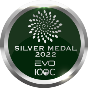 evo 2022 silver